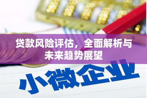 惠东贷款风险评估，全面解析与未来趋势展望