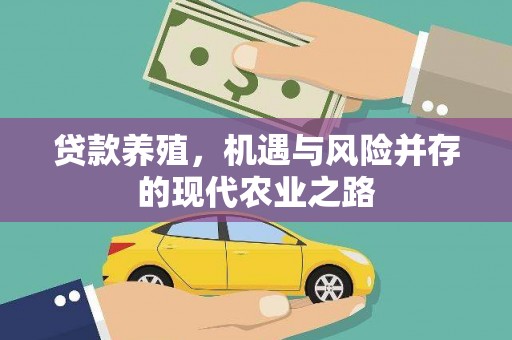 惠东贷款养殖，机遇与风险并存的现代农业之路