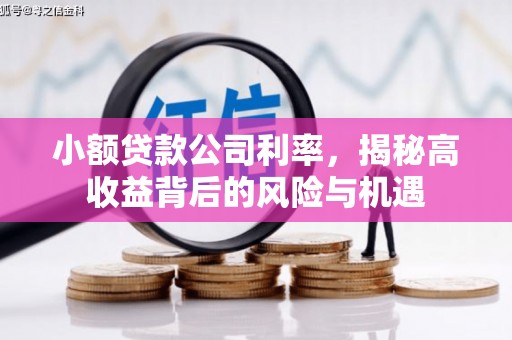 惠东小额贷款公司利率，揭秘高收益背后的风险与机遇