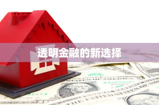惠东透明金融的新选择