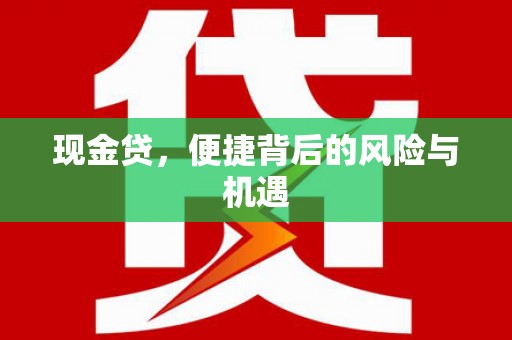 惠东现金贷，便捷背后的风险与机遇