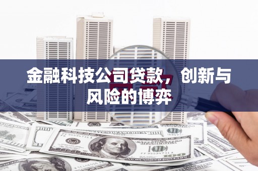 惠东金融科技公司贷款，创新与风险的博弈
