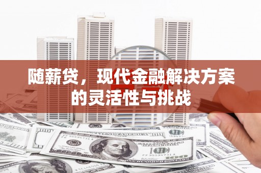 惠东随薪贷，现代金融解决方案的灵活性与挑战