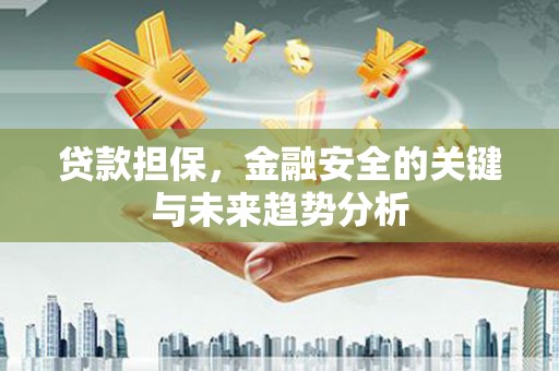 惠东贷款担保，金融安全的关键与未来趋势分析