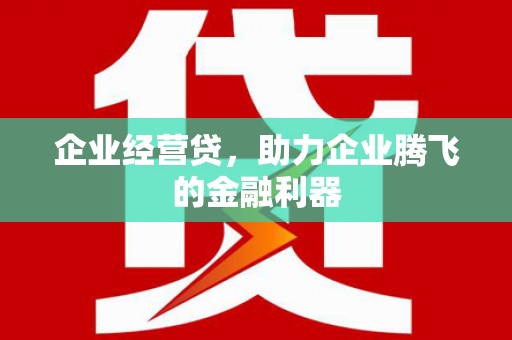 惠东企业经营贷，助力企业腾飞的金融利器