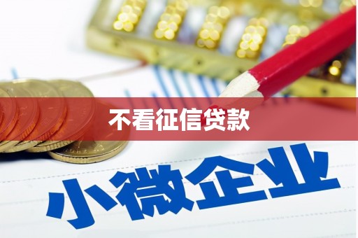 惠东不看征信贷款