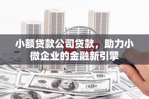 惠东小额贷款公司贷款，助力小微企业的金融新引擎