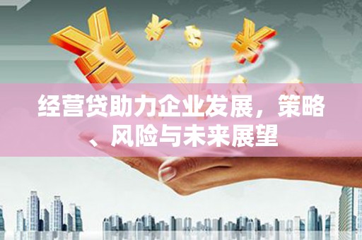惠东经营贷助力企业发展，策略、风险与未来展望