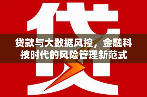 惠东贷款与大数据风控，金融科技时代的风险管理新范式