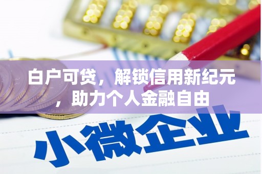 惠东白户可贷，解锁信用新纪元，助力个人金融自由