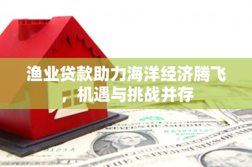 惠东渔业贷款助力海洋经济腾飞，机遇与挑战并存