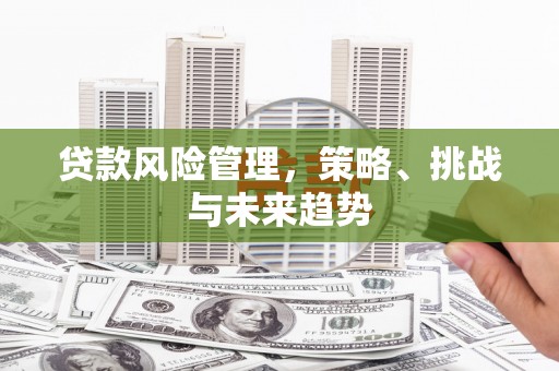 惠东贷款风险管理，策略、挑战与未来趋势