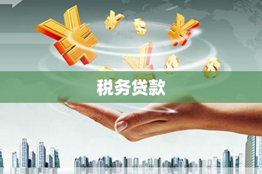 惠东税务贷款
