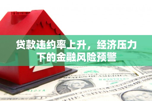 惠东贷款违约率上升，经济压力下的金融风险预警
