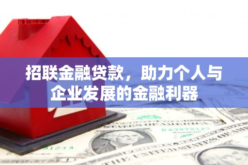 惠东招联金融贷款，助力个人与企业发展的金融利器