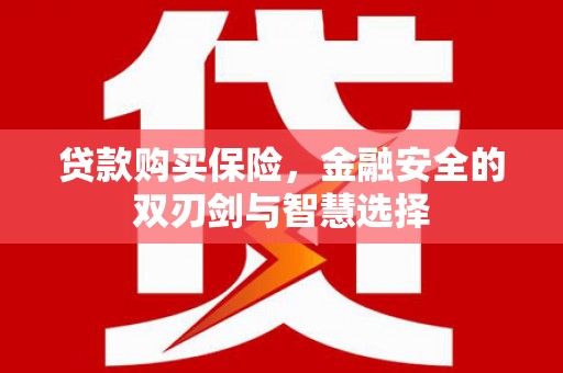 惠东贷款购买保险，金融安全的双刃剑与智慧选择