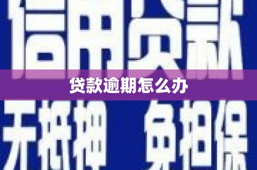 惠东贷款逾期怎么办