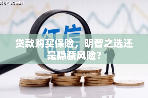 惠东贷款购买保险，明智之选还是隐藏风险？