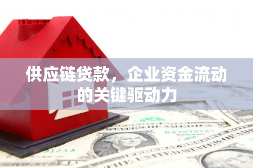 惠东供应链贷款，企业资金流动的关键驱动力