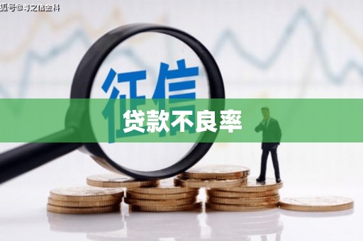 惠东贷款不良率
