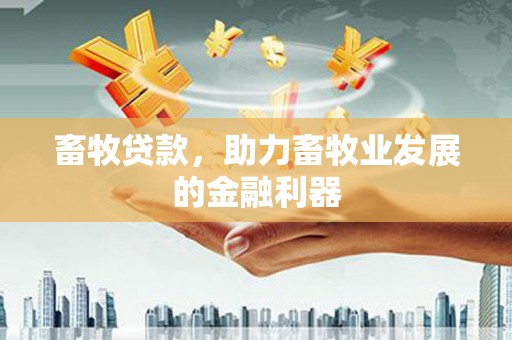 惠东畜牧贷款，助力畜牧业发展的金融利器