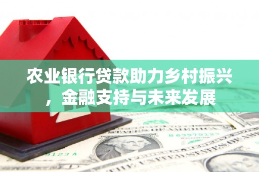 惠东农业银行贷款助力乡村振兴，金融支持与未来发展