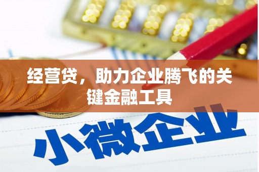 惠东经营贷，助力企业腾飞的关键金融工具