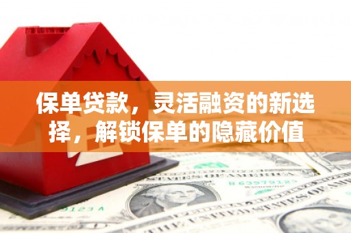 惠东保单贷款，灵活融资的新选择，解锁保单的隐藏价值