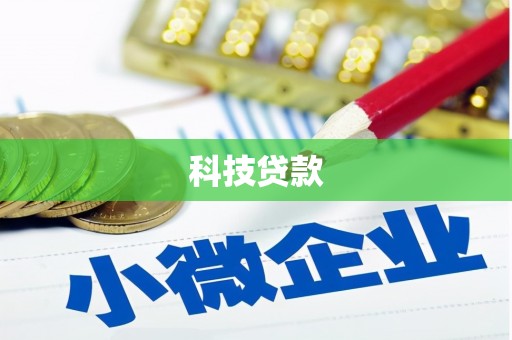 惠东科技贷款