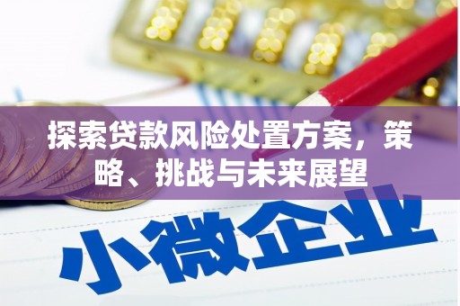 惠东探索贷款风险处置方案，策略、挑战与未来展望
