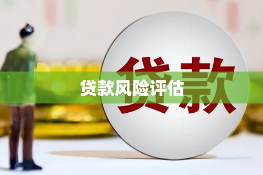 惠东贷款风险评估