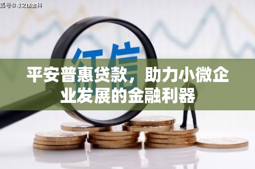 惠东平安普惠贷款，助力小微企业发展的金融利器