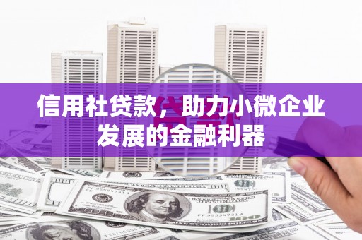 惠东信用社贷款，助力小微企业发展的金融利器