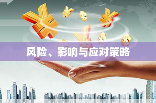 惠东风险、影响与应对策略