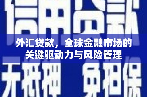 惠东外汇贷款，全球金融市场的关键驱动力与风险管理
