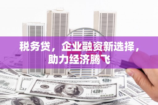 惠东税务贷，企业融资新选择，助力经济腾飞