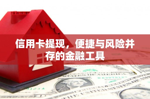 惠东信用卡提现，便捷与风险并存的金融工具