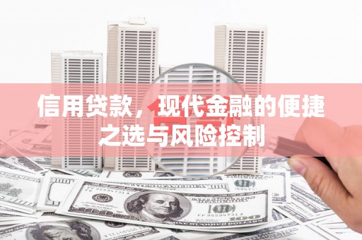 惠东信用贷款，现代金融的便捷之选与风险控制