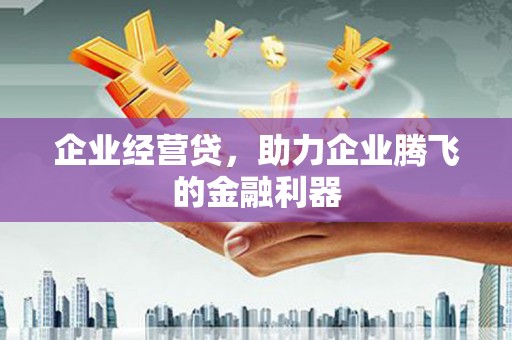 惠东企业经营贷，助力企业腾飞的金融利器
