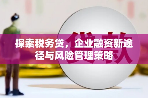 惠东探索税务贷，企业融资新途径与风险管理策略