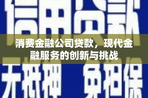 惠东消费金融公司贷款，现代金融服务的创新与挑战