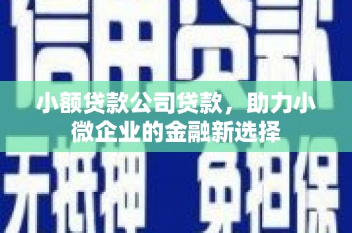惠东小额贷款公司贷款，助力小微企业的金融新选择