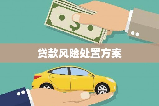 惠东贷款风险处置方案