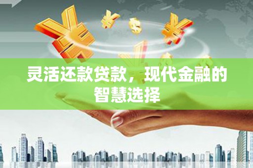惠东灵活还款贷款，现代金融的智慧选择
