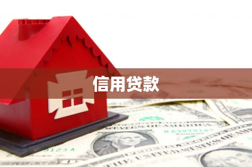 惠东信用贷款