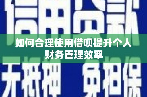 惠东如何合理使用借呗提升个人财务管理效率