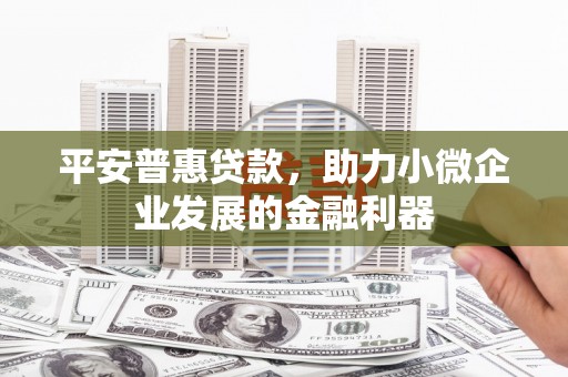 惠东平安普惠贷款，助力小微企业发展的金融利器