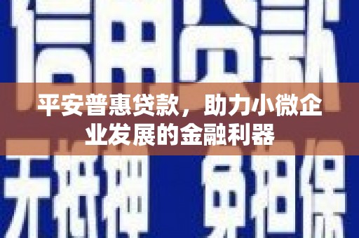 惠东平安普惠贷款，助力小微企业发展的金融利器