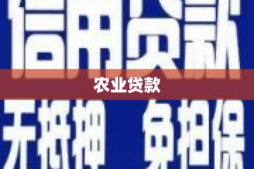 惠东农业贷款