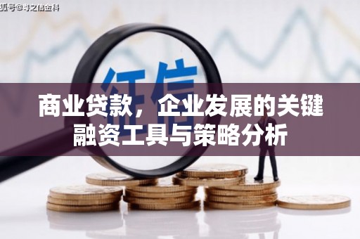 惠东商业贷款，企业发展的关键融资工具与策略分析